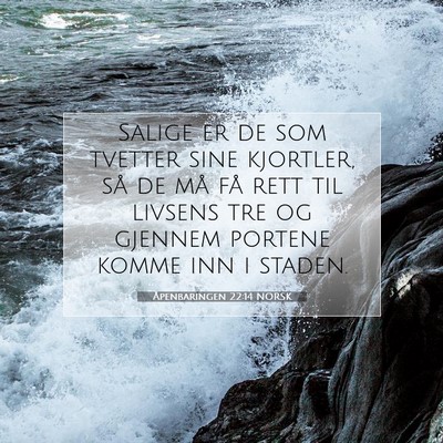 Picture 07 - Åpenbaringen 22:14 NORSK - Salige er de som tvetter sine kjortler, så de - Bible Verse Picture