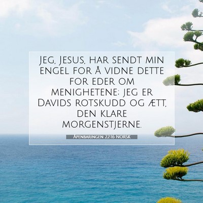 Picture 07 - Åpenbaringen 22:16 NORSK - Jeg, Jesus, har sendt min engel for å vidne - Bible Verse Picture