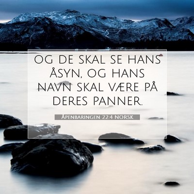 Picture 07 - Åpenbaringen 22:4 NORSK - og de skal se hans åsyn, og hans navn skal være - Bible Verse Picture
