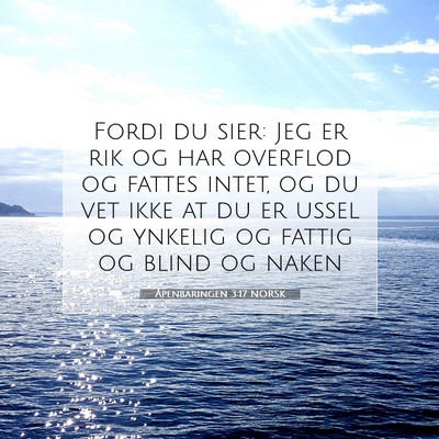 Picture 07 - Åpenbaringen 3:17 NORSK - Fordi du sier: Jeg er rik og har overflod og - Bible Verse Picture