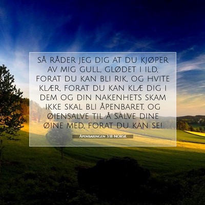 Picture 07 - Åpenbaringen 3:18 NORSK - så råder jeg dig at du kjøper av mig gull, - Bible Verse Picture