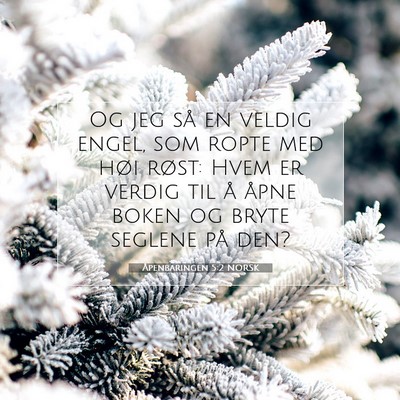 Picture 07 - Åpenbaringen 5:2 NORSK - Og jeg så en veldig engel, som ropte med høi - Bible Verse Picture