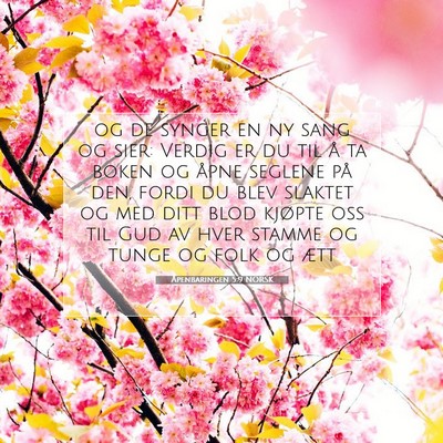 Picture 07 - Åpenbaringen 5:9 NORSK - og de synger en ny sang og sier: Verdig er du til - Bible Verse Picture
