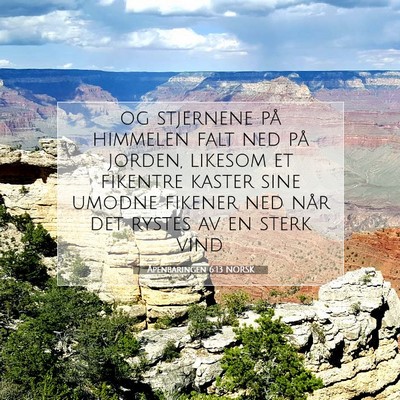 Picture 07 - Åpenbaringen 6:13 NORSK - og stjernene på himmelen falt ned på jorden, - Bible Verse Picture