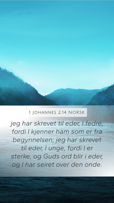 1 Johannes 2:14 NORSK Bible Verse Image