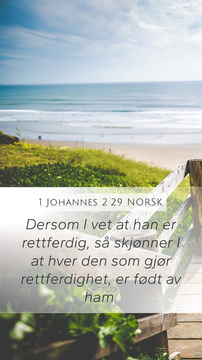 1 Johannes 2:29 NORSK Bible Verse Image