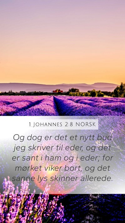 1 Johannes 2:8 NORSK Bible Verse Image