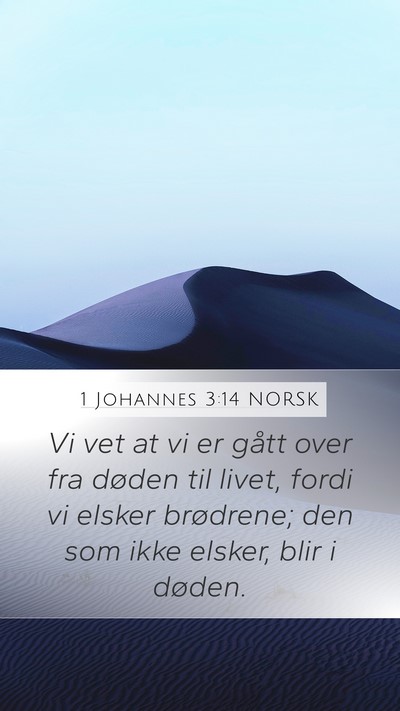 1 Johannes 3:14 NORSK Bible Verse Image
