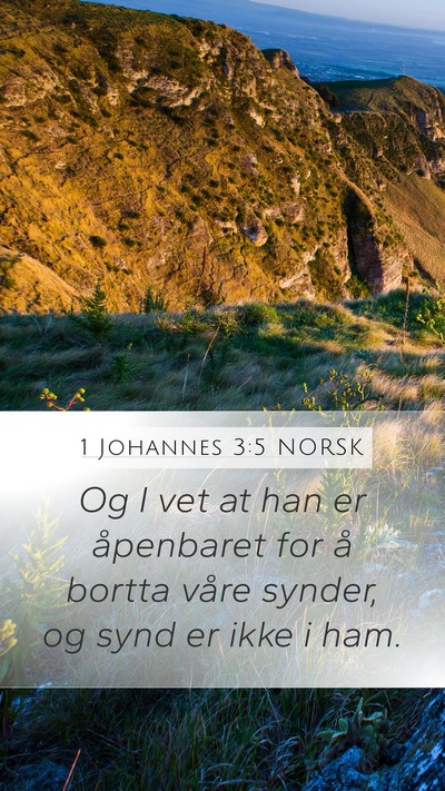 1 Johannes 3:5 NORSK Bible Verse Image