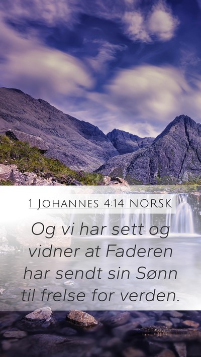 1 Johannes 4:14 NORSK Bible Verse Image
