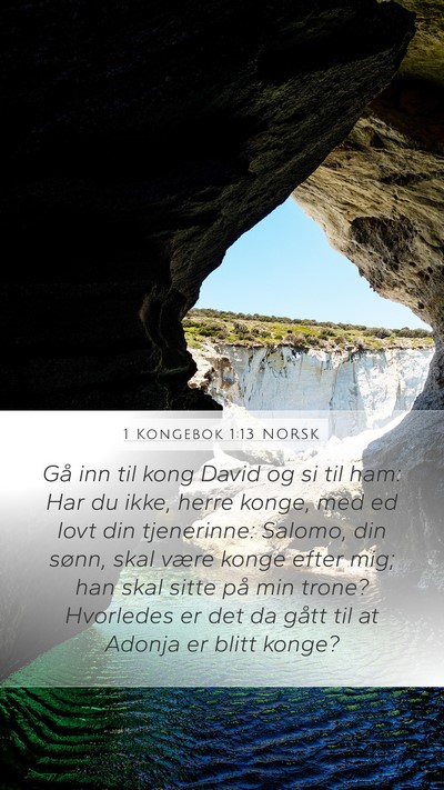 1 Kongebok 1:13 NORSK Bible Verse Image