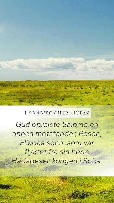 1 Kongebok 11:23 NORSK Bible Verse Image