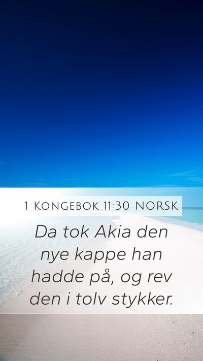 1 Kongebok 11:30 NORSK Bible Verse Image