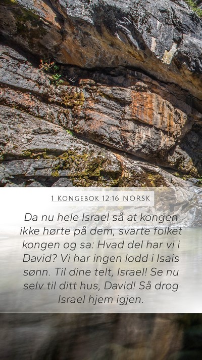 1 Kongebok 12:16 NORSK Bible Verse Image