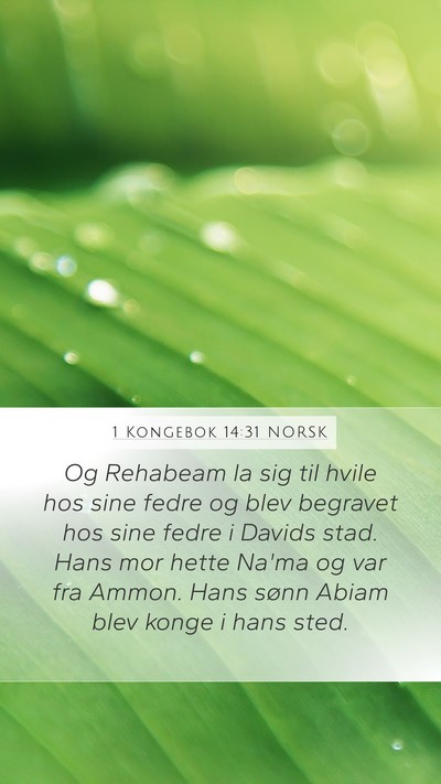 1 Kongebok 14:31 NORSK Mobile Phone Wallpaper - Og Rehabeam la sig til hvile hos sine fedre og - Mobile Bible Verse Wallpaper