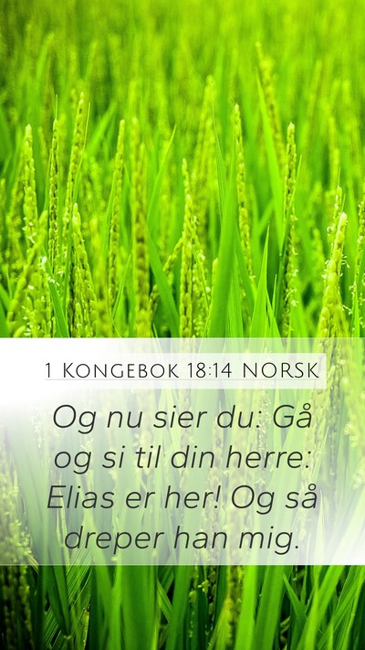 1 Kongebok 18:14 NORSK Bible Verse Image