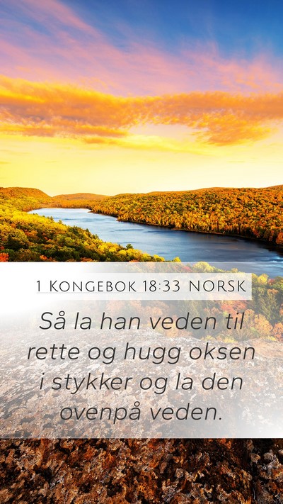 1 Kongebok 18:33 NORSK Bible Verse Image