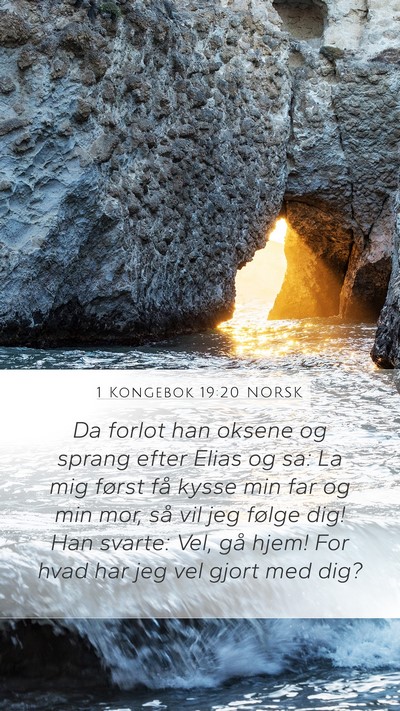 1 Kongebok 19:20 NORSK Bible Verse Image