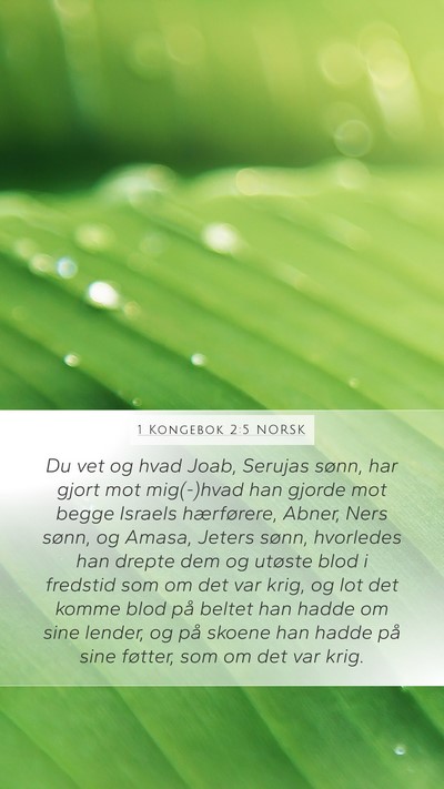 1 Kongebok 2:5 NORSK Bible Verse Image