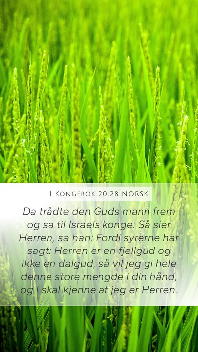 1 Kongebok 20:28 NORSK Bible Verse Image
