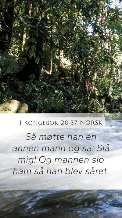 1 Kongebok 20:37 NORSK Mobile Phone Wallpaper - Så møtte han en annen mann og sa: Slå mig! Og - Mobile Bible Verse Wallpaper