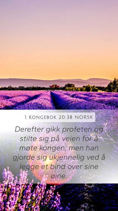 1 Kongebok 20:38 NORSK Bible Verse Image