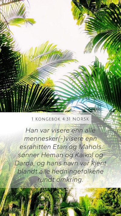 1 Kongebok 4:31 NORSK Bible Verse Image