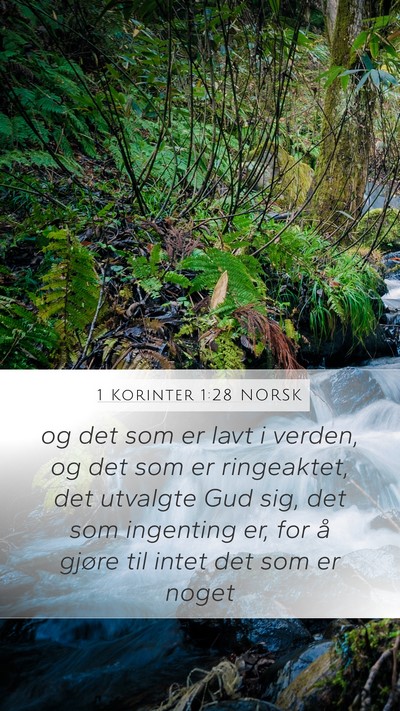 1 Korinter 1:28 NORSK Bible Verse Image
