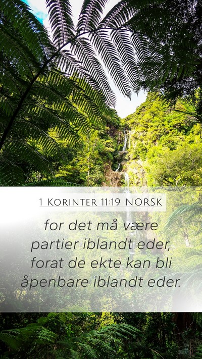 1 Korinter 11:19 NORSK Bible Verse Image