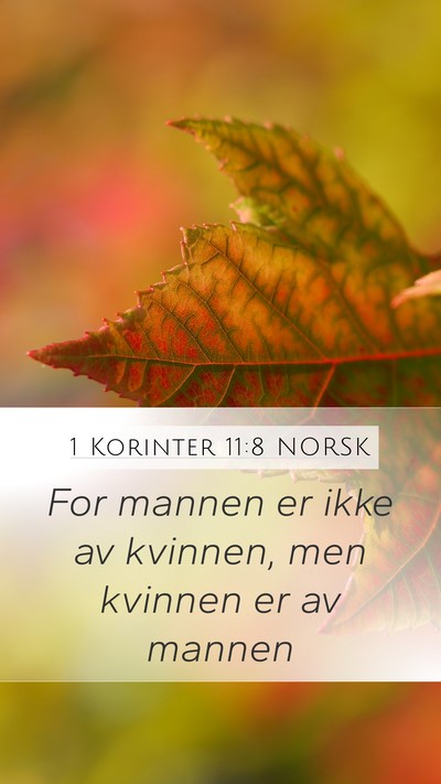 1 Korinter 11:8 NORSK Bible Verse Image