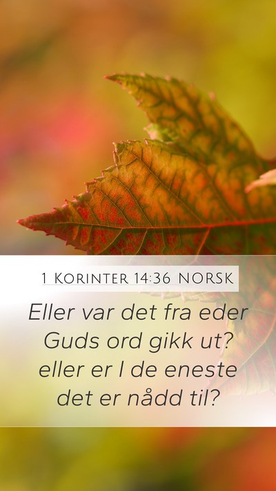 1 Korinter 14:36 NORSK Mobile Phone Wallpaper - Eller var det fra eder Guds ord gikk ut? eller er - Mobile Bible Verse Wallpaper