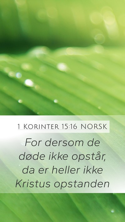 1 Korinter 15:16 NORSK Bible Verse Image