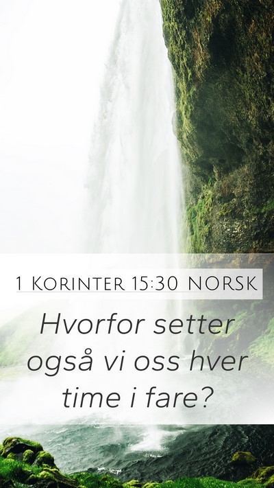 1 Korinter 15:30 NORSK Bible Verse Image