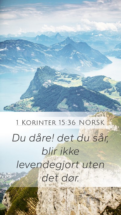 1 Korinter 15:36 NORSK Bible Verse Image