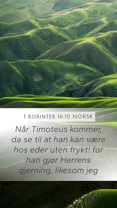 1 Korinter 16:10 NORSK Bible Verse Image