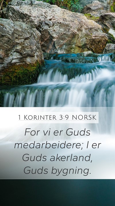 1 Korinter 3:9 NORSK Bible Verse Image