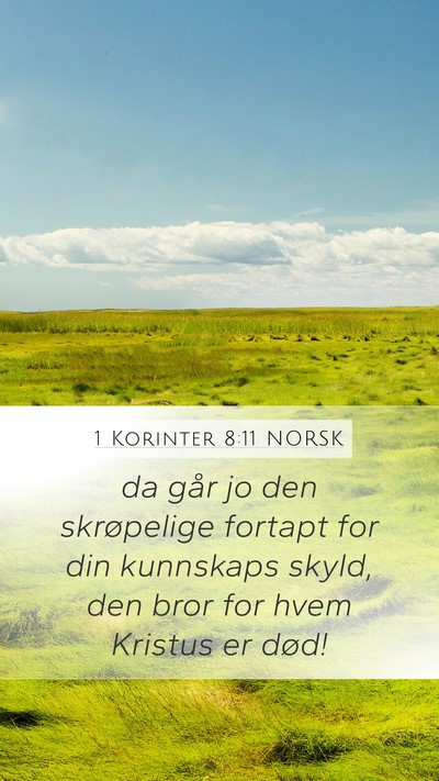 1 Korinter 8:11 NORSK Bible Verse Image