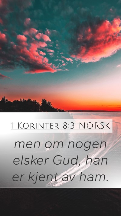 1 Korinter 8:3 NORSK Bible Verse Image