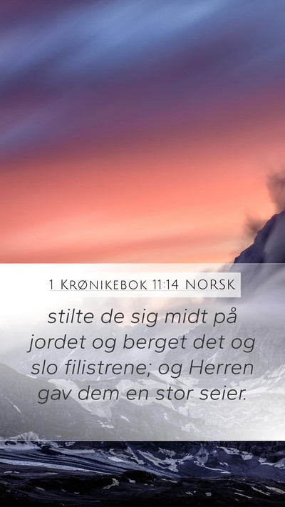 1 Krønikebok 11:14 NORSK Bible Verse Image