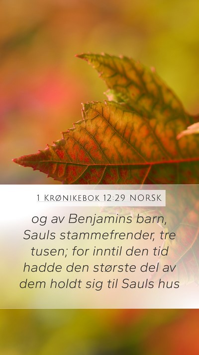 1 Krønikebok 12:29 NORSK Bible Verse Image