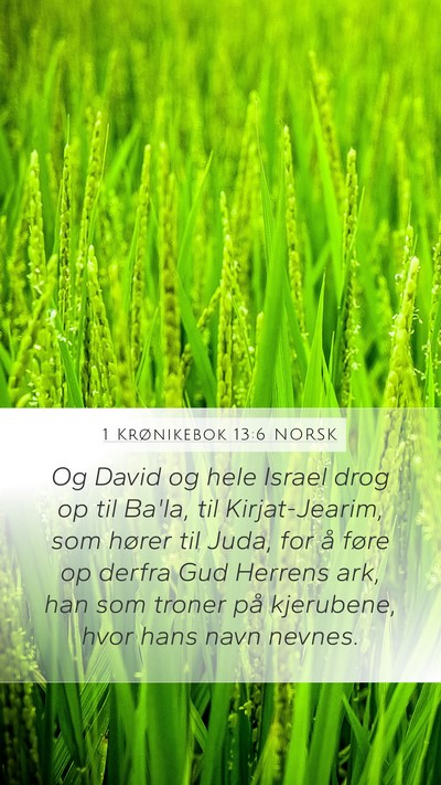 1 Krønikebok 13:6 NORSK Bible Verse Image
