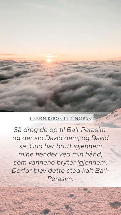 1 Krønikebok 14:11 NORSK Bible Verse Image