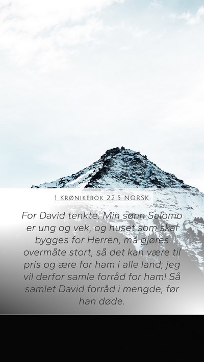 1 Krønikebok 22:5 NORSK Bible Verse Image
