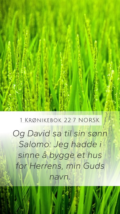 1 Krønikebok 22:7 NORSK Mobile Phone Wallpaper - Og David sa til sin sønn Salomo: Jeg hadde i - Mobile Bible Verse Wallpaper