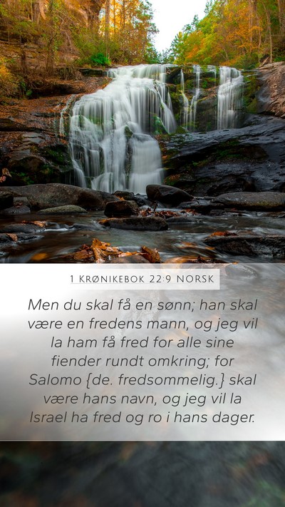 1 Krønikebok 22:9 NORSK Bible Verse Image