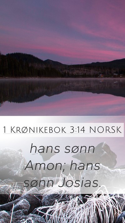 1 Krønikebok 3:14 NORSK Bible Verse Image