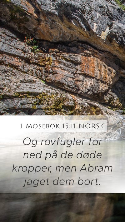 1 Mosebok 15:11 NORSK Mobile Phone Wallpaper - Og rovfugler for ned på de døde kropper, men - Mobile Bible Verse Wallpaper