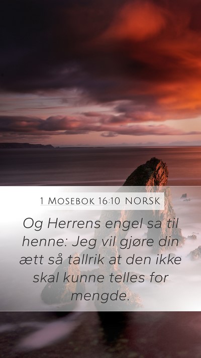 1 Mosebok 16:10 NORSK Bible Verse Image
