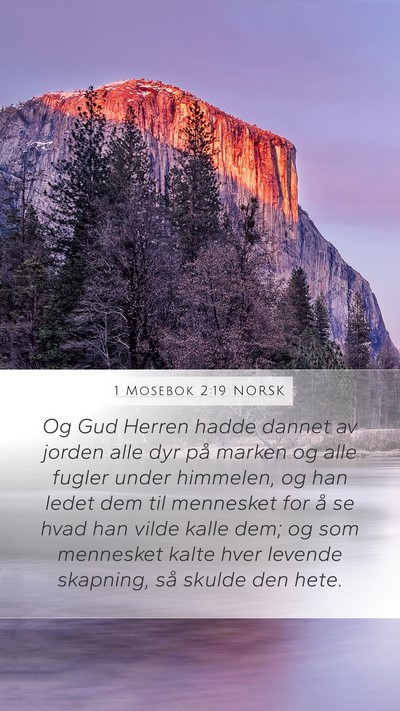 1 Mosebok 2:19 NORSK Bible Verse Image