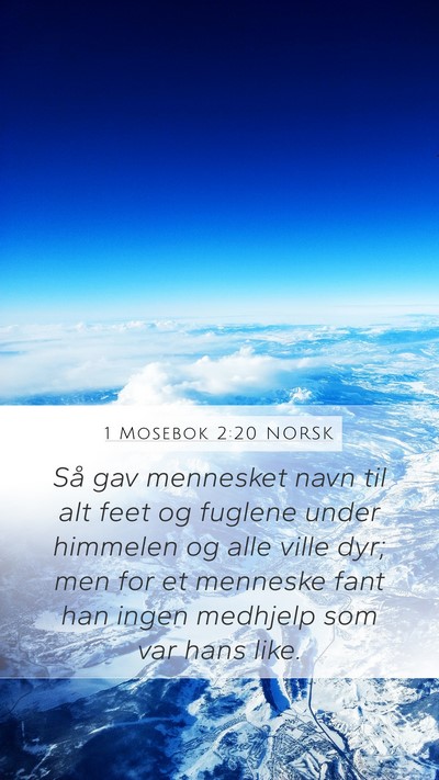1 Mosebok 2:20 NORSK Bible Verse Image